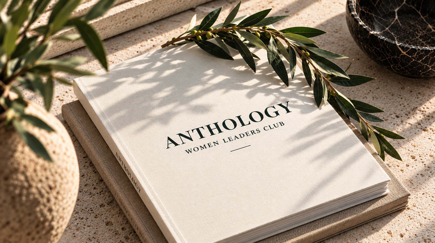 The Anthology Women Leaders Club book with an olive branch, on a sunlit stone surface